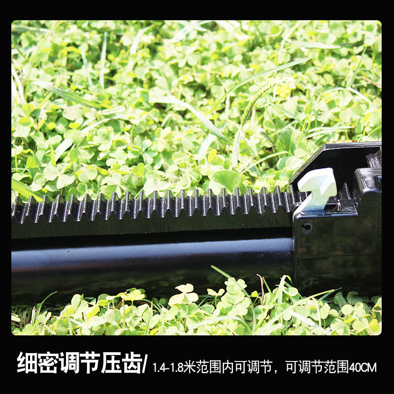 O1CN01WWp56s1qmSBv7Ndd2_4290485538-0-cib.jpg